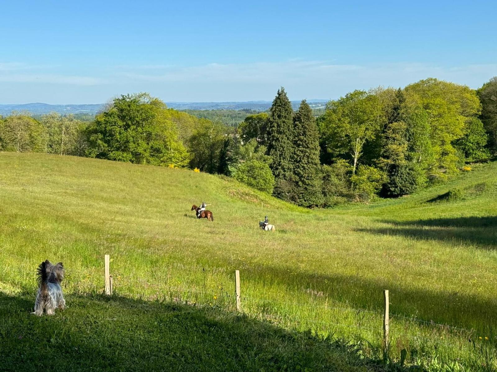 Domaine De Montmery Sa Piscine Son Jardin Ses Espaces Ambazac Εξωτερικό φωτογραφία
