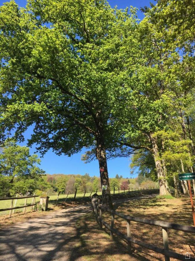Domaine De Montmery Sa Piscine Son Jardin Ses Espaces Ambazac Εξωτερικό φωτογραφία